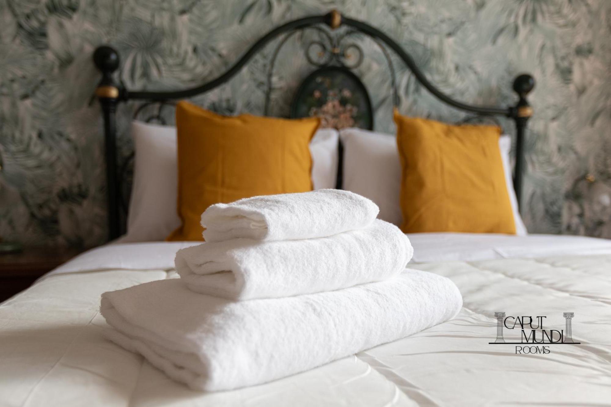 Caput Mundi Rooms - 100Mt To Metro A, Terrace, A-C, 15 Min To Center Rome Extérieur photo